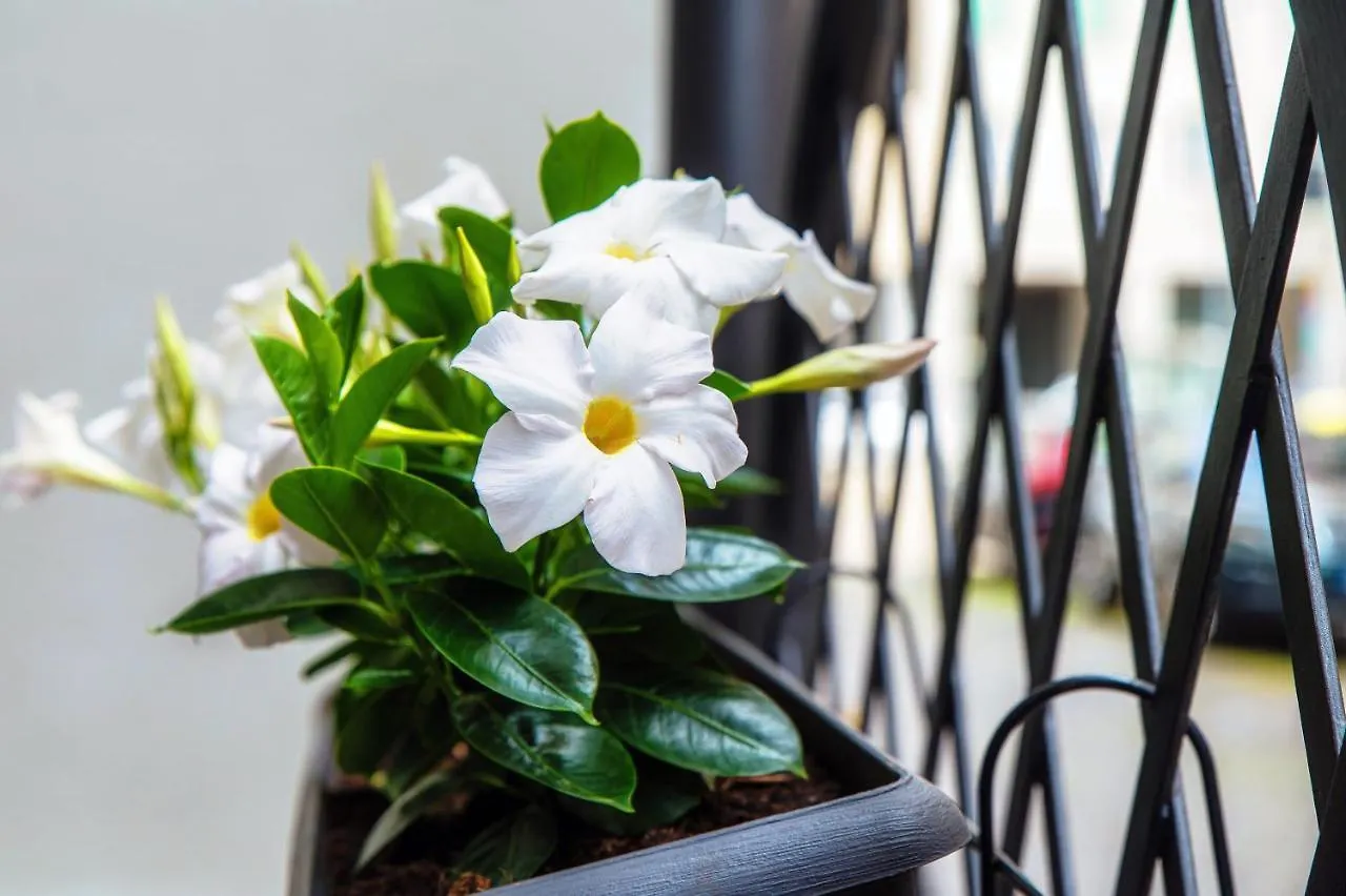 Suite Lo Storico - The House Of Travelers Como Apartment